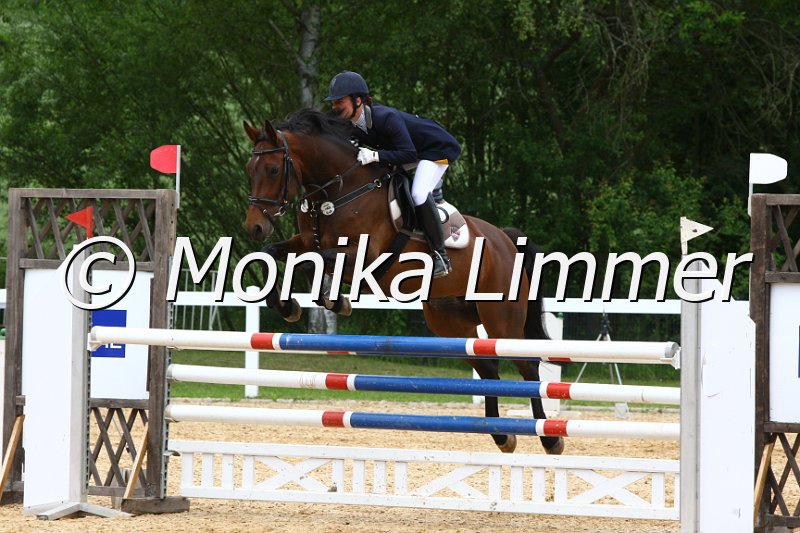 006M7362_Spring L.JPG